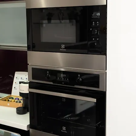 公寓 New Beautiful In The Center Of With Option Garage Parking 俄斯特拉发