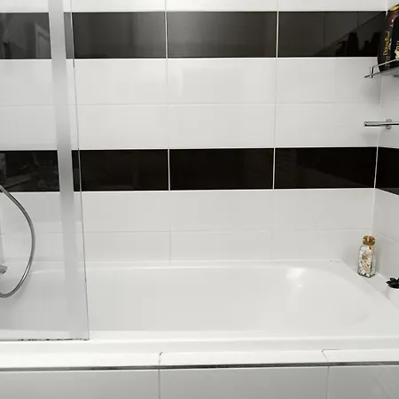 New Beautiful In The Center Of With Option Garage Parking * Ostrawa