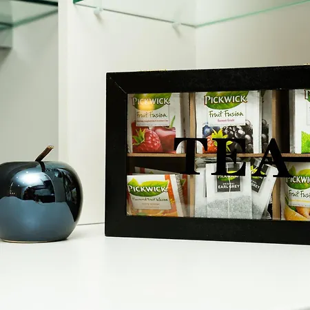 New Beautiful In The Center Of With Option Garage Parking Острава