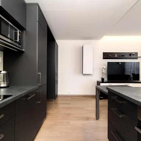 New Beautiful In The Center Of With Option Garage Parking Apartment Ostrava