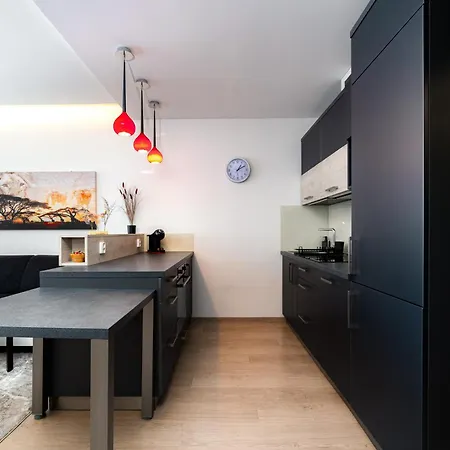 New Beautiful In The Center Of With Option Garage Parking * Ostrava