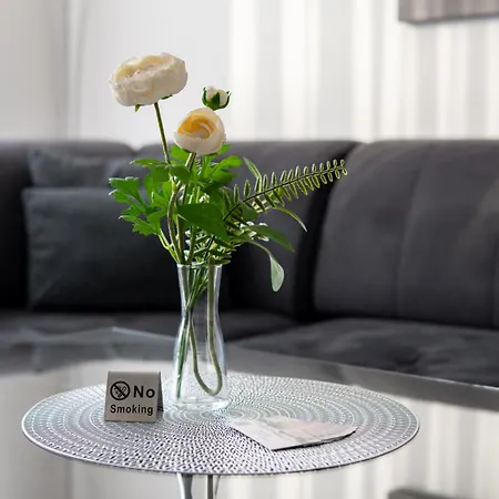 Apartment New Beautiful In The Center Of With Option Garage Parking Ostrava