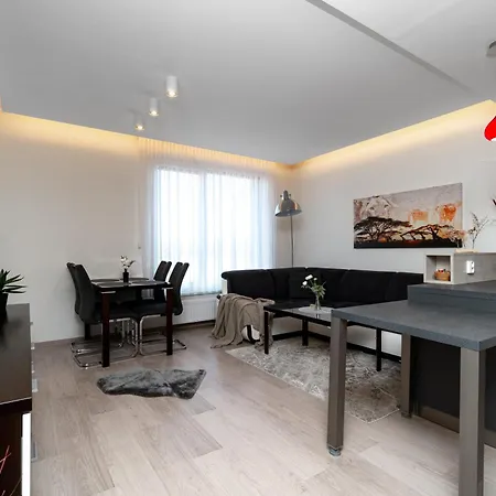 New Beautiful In The Center Of With Option Garage Parking 公寓 俄斯特拉发