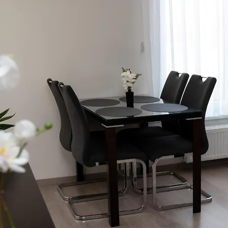 Apartment New Beautiful In The Center Of With Option Garage Parking Ostrava