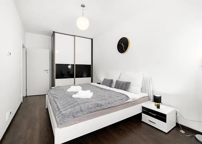 New Beautiful In The Center Of With Option Garage Parking Apartment