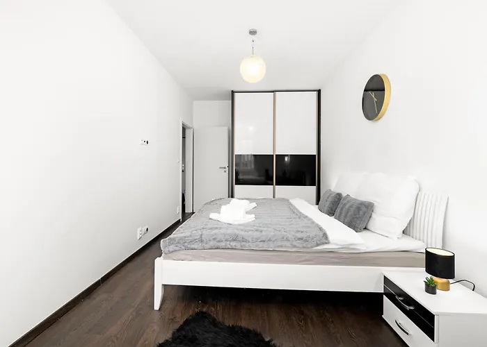 New Beautiful In The Center Of With Option Garage Parking Apartment