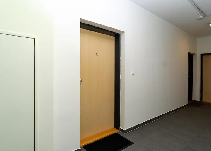 Apartment New Beautiful In The Center Of With Option Garage Parking *