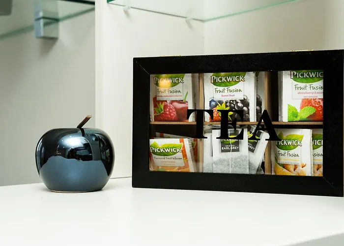 New Beautiful In The Center Of With Option Garage Parking Ostrava